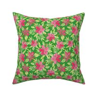 Tropical Pink Hibiscus Flowers on lime green