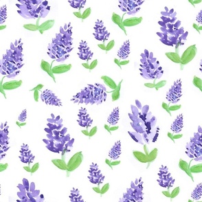 Lilac Garden