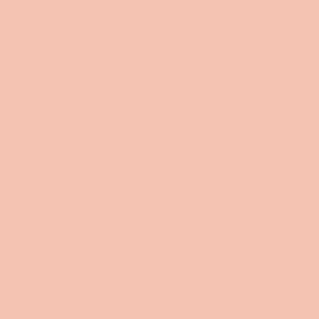 Solid Colour Teacup Rose f4c3b2 Colour Trends 2024