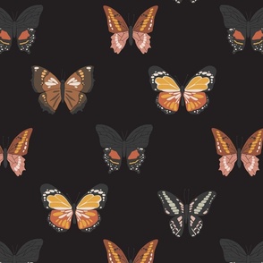 Boho-butterflies-on-black-16x16