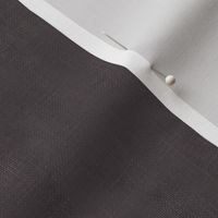 Linen Plaster Texture in Moody Black