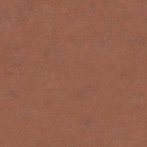 Linen Plaster Texture in Burnt Orange Leather