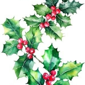 holly vine watercolor