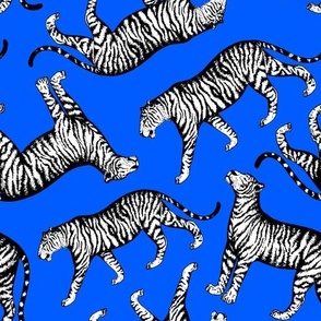 Tigers (Cobalt Blue and White)