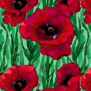 Watercolor Red Poppies
