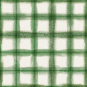 Hand painted, green watercolor gingham