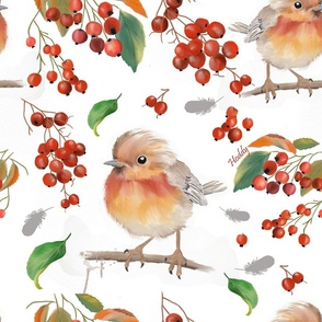 Robin and berries
