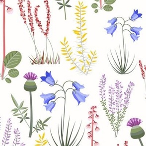 Midi - Modern Stylised Scottish Wildflowers - Thistle, Heather & Gorse - Cream