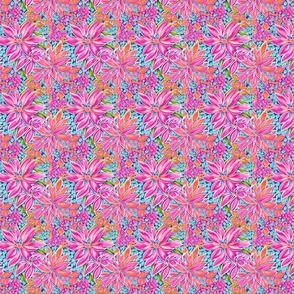 Lilly Express - SM. - Pink/Blue