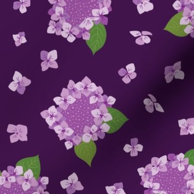 Lacecap Lovelies - Royal Purple