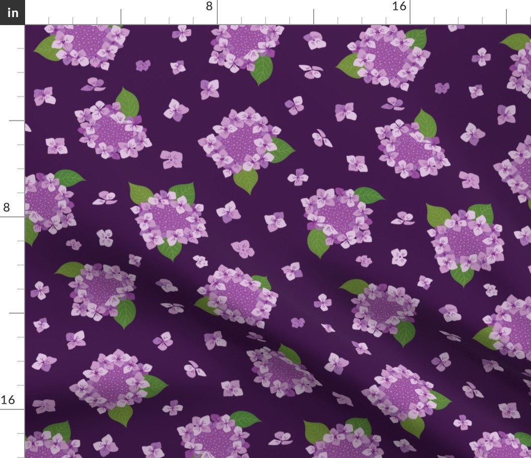 Lacecap Lovelies - Royal Purple