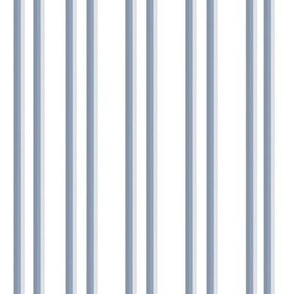 Blue and White Ticking Stripe
