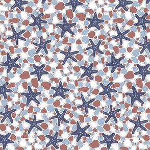 Starfish on a Pebble Beach Light Blue, Red and White- Medium Print
