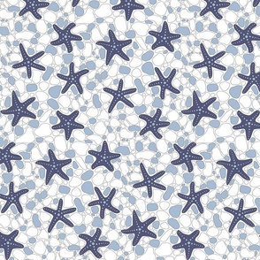 Starfish on a Pebble Beach Shades of Blue and White- Medium Print