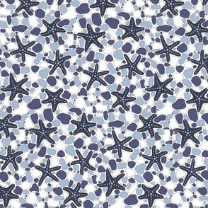 Starfish on a Pebble Beach Shades of Blue- Medium Print