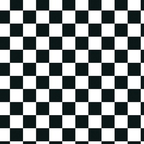 Checkerboard Geometry: Textured Harmonizing black and white Squares