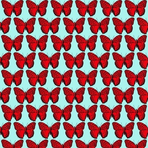 small spotted butterflies red and black on light turquoise