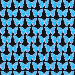 small spotted butterflies sky blue and pastel pink on black
