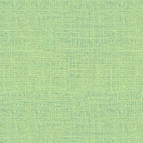 Faux Burlap hessian woven solid in Celadon green