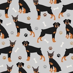 Doberman Pinscher Paws and Bones Gray