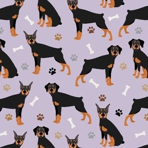 Doberman Pinscher Paws and Bones Purple