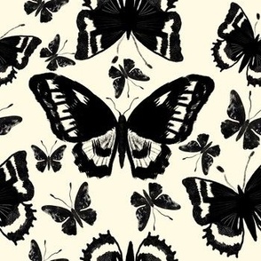 Black butterflies