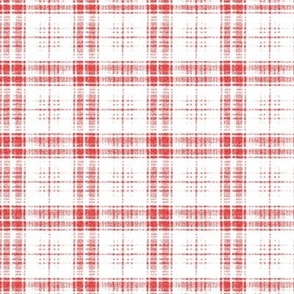 PEN WOVEN PLAID_red