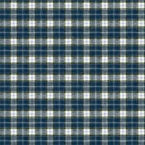 PAINTED WOVEN PLAID_BLUE