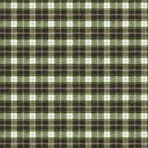PAINTED WOVEN PLAID_GREEN