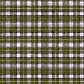 PAINTED WOVEN PLAID_OLIVE