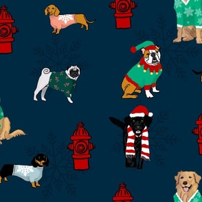 Dogs in Christmas sweaters 
