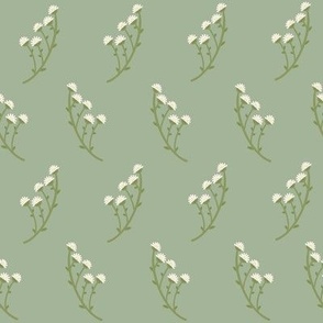 Small sprigs  of white flowers / white gypsophila on green background 