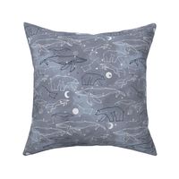 Medium Animal Constellations Fox Bear Whale Moon Stars Kids