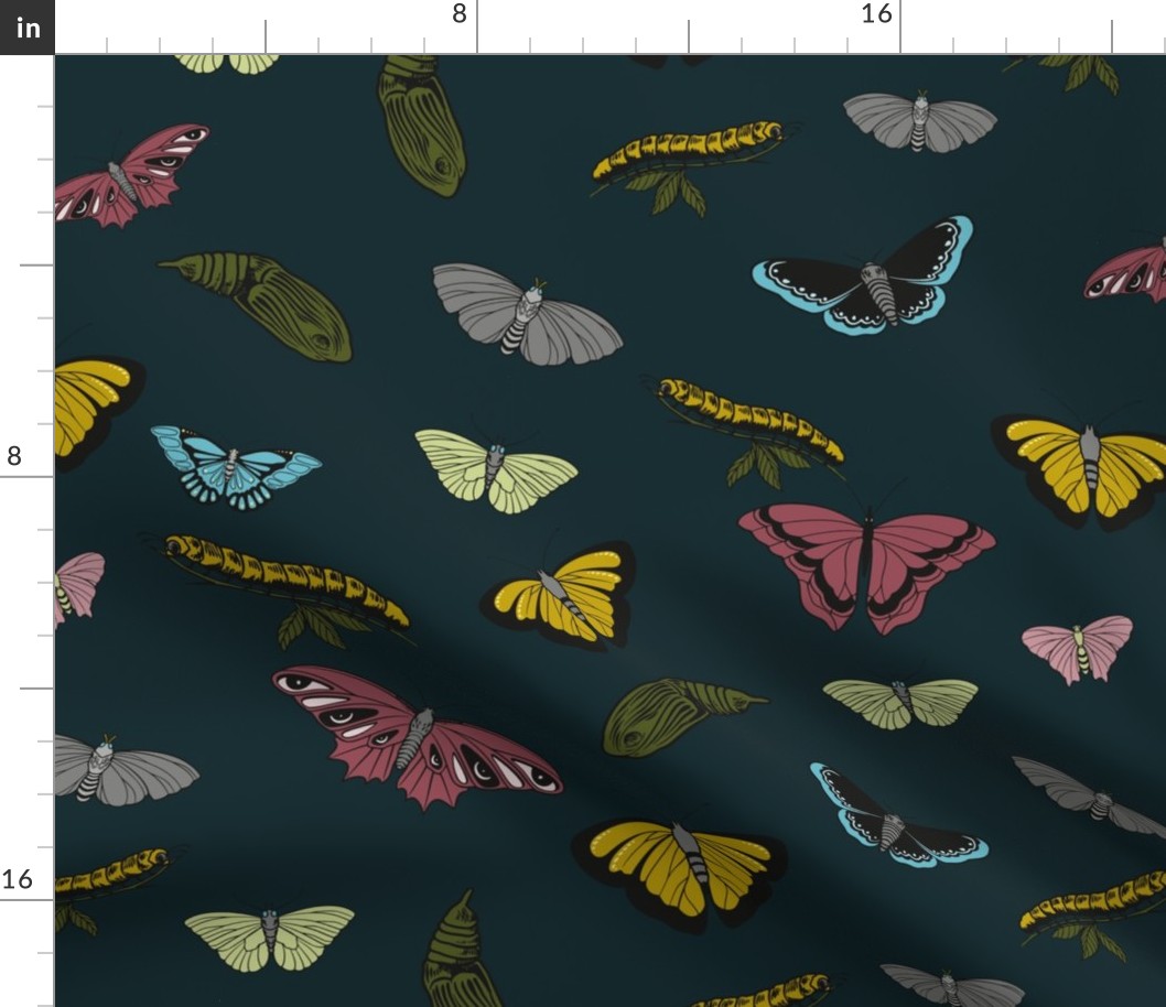  Butterfly, Moth, Caterpillar and Cocoon Line Art Seamless Pattern on Teal