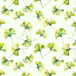 gingko leaves on green background.