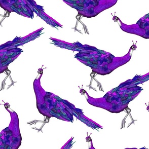 Peacock-Purple 