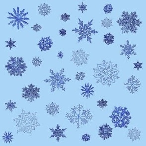 5- flocons de neige bleu cobalt sur fond bleu ciel