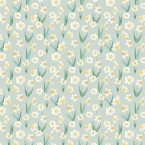 (S) Daffodils on milky green in Small scale