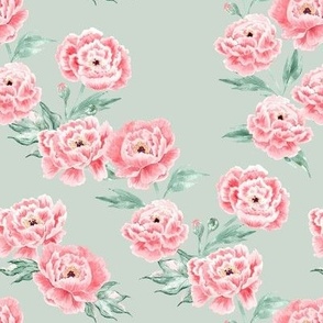 (L) pink watercolor peonies on milky green background in Large scale