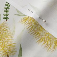 Medium Watercolor Australian Yellow Bottle Brush Flowers with Dulux Casper White Quarter Background