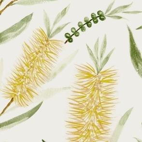 Large Watercolor Australian Yellow Bottle Brush Flowers with Dulux Casper White Quarter Background