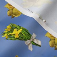 Daffodil Bunches in Ribbons