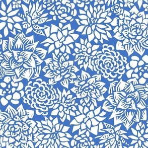 Block Print Succulents - Blue