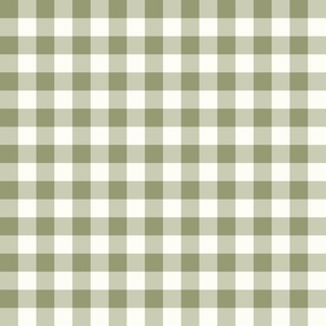 Classic Gingham  Natural fefdf4 Misted Fern 979b73
