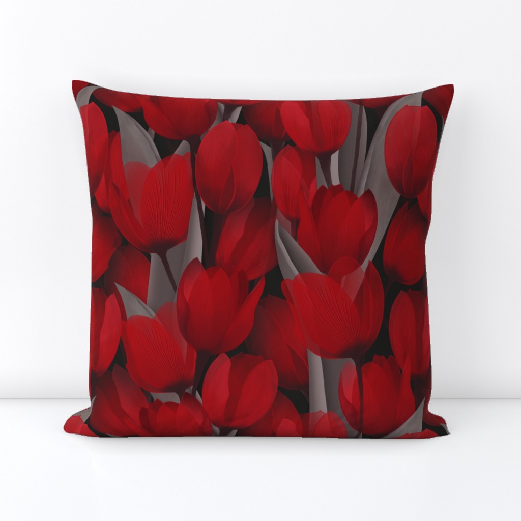 Passion - Red Tulips