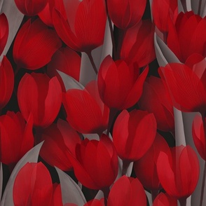 Passion - Red Tulips