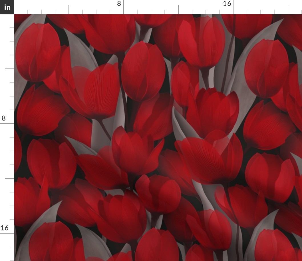 Passion - Red Tulips