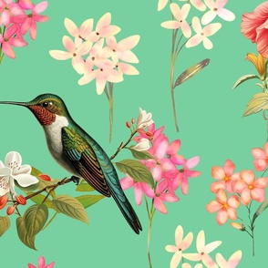 Hummingbird Floral Vintage 