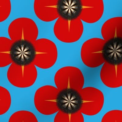 Remembrance Poppies - We remember