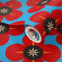 Remembrance Poppies - We remember